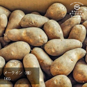 Ⴊ  [NC 1kgi[UjyiρzytAWKCzỹWKC̎Ȃ瓯\zyz