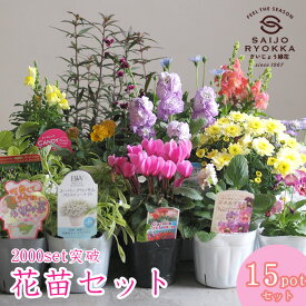 ☆楽天高レビュー☆ 花苗セット 苗セット 15POT【苗セット】【寄せ植えセット】【クリスマス】【花壇苗】【ギフトにおすすめ】【福袋】送料無料【北海道・沖縄・東北発送不可】【ほかの商品との同梱不可】【寄せ植えに】【贈り物】【誕生日】【パンジー】【ビオラ】