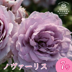 \oc o RfX m@[X c 7 n HT KNc ΂c o c Ay kCꔭsz