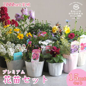 ＼☆楽天高レビュー☆／ プレミアム花苗セット 苗セット 15POT【苗セット】【寄せ植えセット】【ギフト】【花壇苗】【おすすめ】【福袋】送料無料【北海道・沖縄・東北発送不可】【ほかの商品との同梱不可 】【クリスマス】【パンジー】【ビオラ】