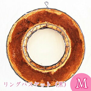 OoXPbgubN M 񂹐A nMOoXPbg GUCG16033B