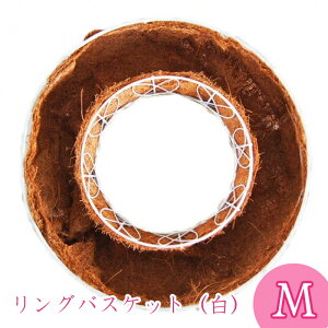 OoXPbgzCg M 񂹐A nMOoXPbg GUCG16033W