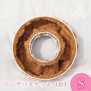 OoXPbgzCg S 񂹐A nMOoXPbg GUCG16094W