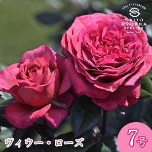 \oc fo[ BE[ [Y c 7 Ԍn POT KNc ΂c o c A y kCꔭsz