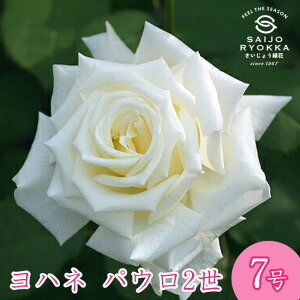 \oc o J&P nl pE2 c 7 n HT KNc ΂c o c Ay kCꔭsz