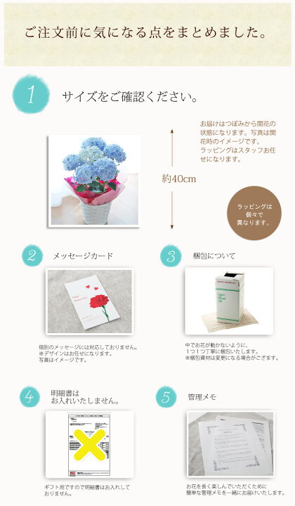 楽天市場】【遅れてごめんね】母の日 プレゼント アジサイ 紫陽花  