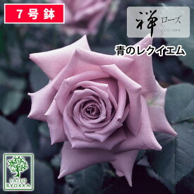 楽天市場 青バラ 鉢の通販