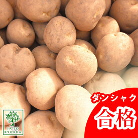 楽天市場 秋 植え じゃがいもの通販 楽天市場 秋 植え じゃがいもの通販