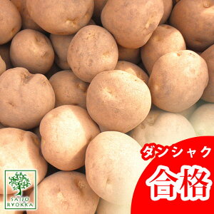 Ⴊ  _VN 1kgi[UjyiρzytAWKCzỹWKC̎Ȃ瓯\zyzyj݁z