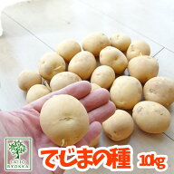 【予約商品】ジャガイモの種 出島（デジマ でじま） ジャガイモ 優良種芋 10kg サイズ混合【充填時】【北…