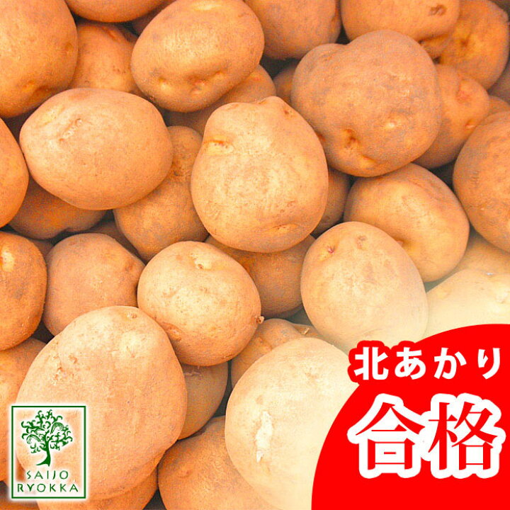 楽天市場 予約 じゃがいも 種芋 キタアカリ 約1kg 充填時 検査合格済 春植えジャガイモ 他のジャガイモの種なら同梱可能 種 北あかり 園芸専門店 さいじょう緑花