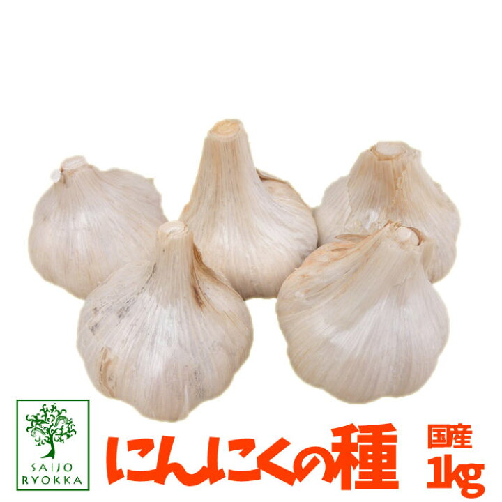 楽天市場 予約 国産ニンニクの種 にんにく ニンニク 1kg 充填時 安心 園芸専門店の野菜の種 園芸専門店 さいじょう緑花