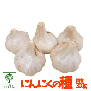 球根 野菜の人気商品 通販 価格比較 価格 Com