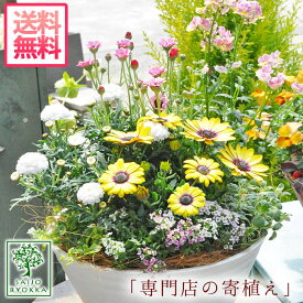 楽天市場 おしゃれ 寄せ植えの通販