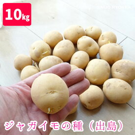 ジャガイモの種 出島（デジマ でじま） ジャガイモ 優良種芋 10kg サイズ混合【充填時】