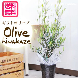 ÑI[u̖؁uЂȂv ϗt Mtg  p Vzj JXj wj oYj  kCEkEꔭsy䒆zy߁zyv[