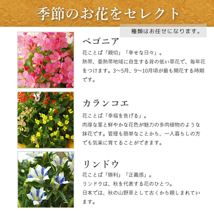 楽天市場 早期予約 敬老の日のプレゼント花ギフト お任せ鉢花と選べる動物オブジェのセット 敬老の日ギフト 送料無料 北海道沖縄 東北発送不可 鉢物 実用的なものより人気 プレゼント 花 花鉢 鉢植え 0と5のつく日は楽天カードでお得