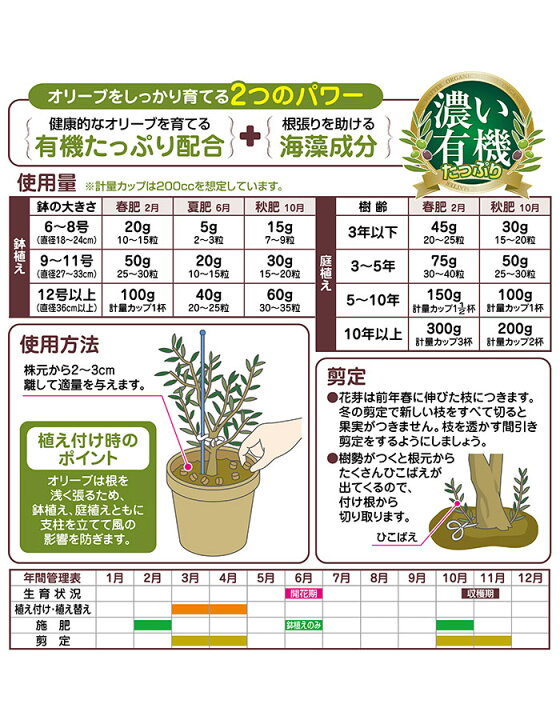 楽天市場 オリーブに最適 初心者 安心 太陽に実キラリ オリーブの肥料 濃い有機 500g 苗と同梱ok 0と5のつく日は楽天カードでお得 園芸専門店 さいじょう緑花