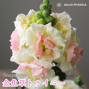 yԕczLM\E gDCj[@d炫 ␫yԒdcz yԕczy1Nz