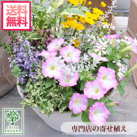 楽天市場 おしゃれ 寄せ植え 花 ガーデン Diy の通販