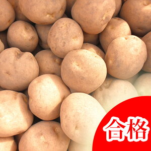 y\zႪ  _VN 10kgi[Ujyj݁zy_VNzyiρzytAWKCzỹWKC̎Ȃ瓯\zyzyj݁z