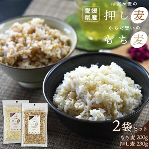 yz(200g)E(230g)Zbg v430g _CV`  ނ ͂ G  ނ    Hה Zbg 唞 Y Q ͂ 