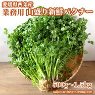 愛媛県西条市産 業務用山盛りパクチー 500g～1.5kg
