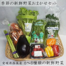 【送料無料】＜季節の新鮮野菜おまかせセット＞ 国産 四国 愛媛県 特産品 西条市 旬野菜 新鮮 旬 野菜セット やさい ベジタブル 野菜 詰め合わせ 食材 農産物 ご家庭用 仕送り 母の日 父の日 敬老の日 お中元 お歳暮 鍋野菜 温野菜 生野菜 サラダ 冷蔵【クール便】