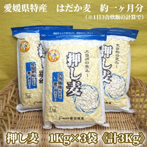 ŷΉz(QY͂)1Kg×3 v3Kg   ͂  G    ͂ e Y c Q H@ _CGbg  H  