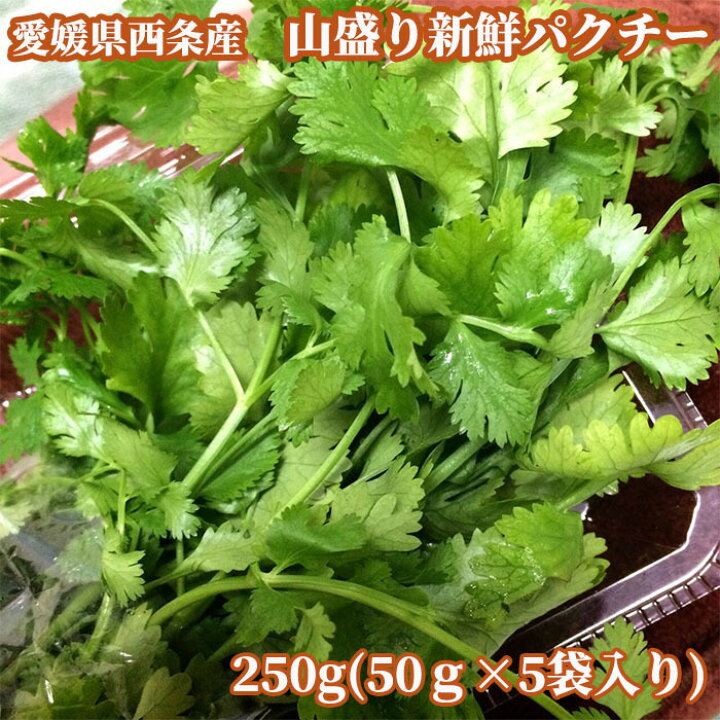 楽天市場 送料無料 パクチー 愛媛県西条市産 大盛り新鮮パクチー 250ｇ 大量 コリアンダー タイ料理 カオマンガイ カレー スパイス カレースパイス まとめ買い エスニック 中華食材 香菜 サラダ トッピング シャンサイ シャンツァイ パクチニスト アジア料理
