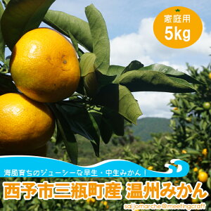 C炿̃W[V[ȑE݂I\sOrY B݂5kg(ƒp) 2025N112026N1܂łɏoׂ܂  ~J B~J k Q Q 邿