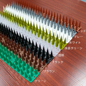 y21-31IN[|p15%OFFz x_ 悯ObY 悯V[g  L悯 Q΍ Nh~  x_  ̂Ђ    ΍ h  gQ 