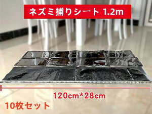 y10%OFFN[|zzz lY~߂ SV[g 1.2m  唻 10ZbgƖp p zbgg ϋv S JԂgp\