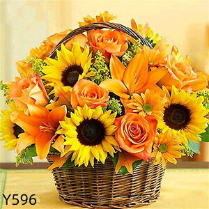 y9-18IN[|p15%OFFzhJLbg 5D _ChA[g Lbg r[YhJ   S _ChyCeBOCeA  Ǐ nhCh _CAhA[g 