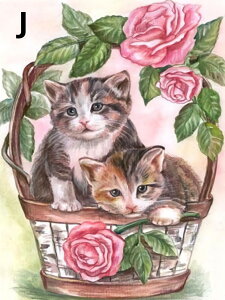 yN[|p10%OFFz hJLbg 5D_ChA[g Lbg r[YhJ  킢L S 5D_Ch yCeBOCeA nhCh NXXeb` _C