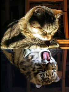 y19-27I15%OFFN[|zzz hJLbg _ChA[g Lbg r[YhJ  L  S _ChyCeBOCeA  nhCh NXXeb` 