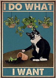 yN[|p10%OFFzhJLbg 5D _ChA[g  L Lbg r[YhJ L S _ChyCeBOCeA  nhCh NXXeb` _CAh