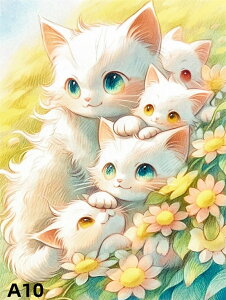 y10%OFFN[|zzzhJLbg 5D_ChA[g Lbg r[YhJ  L S 5D_Ch yCe  nhCh NXXeb` _CAhA[g} ǃA[g 