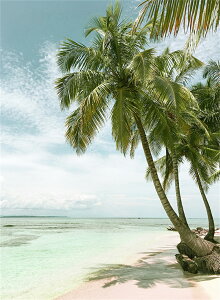  hJLbg 5D l C _ChA[g Lbg r[YhJ t _ChyCeBOCeA  nhCh NXXeb` _CAhA[g} ǃA[g 