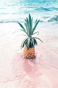  hJLbg 5D l C _ChA[g Lbg r[YhJ t _ChyCeBOCeA  nhCh NXXeb` _CAhA[g} ǃA[g 