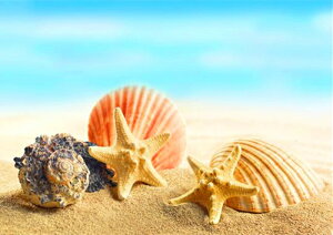 yN[|p10%OFFz hJLbg 5D_ChA[g Lbg r[YhJ i S 5D_Ch yCeBOCeA  nhCh NXXeb` _CA