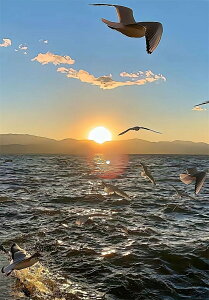 y19-27I15%OFFN[|zzz i hJLbg 5D_ChA[g Lbg r[YhJ S 5D_Ch yCeBOCeA  nhCh NXXeb` _