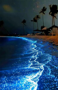 y19-27I15%OFFN[|zzz i hJLbg 5D_ChA[g Lbg r[YhJ S 5D_Ch yCeBOCeA  nhCh NXXeb` _