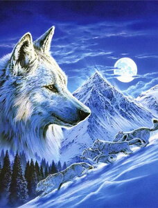  hJLbg T 5D _ChA[g Lbg r[YhJ t _ChyCeBOCeA  nhCh NXXeb` _CAhA[g ǃA[g | _