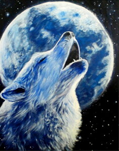  hJLbg T 5D _ChA[g Lbg r[YhJ t _ChyCeBOCeA  nhCh NXXeb` _CAhA[g ǃA[g | _