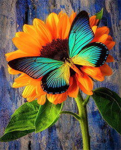 yN[|p10%OFFz hJLbg 5D _ChA[g Lbg r[YhJ   S _ChyCeBOCeA  Ǐ nhCh NXXeb` _