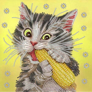  hJLbg  5D o^tC  L 킢 L _ChA[g Lbg r[YhJ S _ChyCeBOCeA nhCh NXXeb` _CA