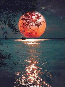 yN[|p10%OFFz hJLbg 5D i  _ChA[g Lbg r[YhJ t _ChyCeBOCeA  nhCh NXXeb` _CA