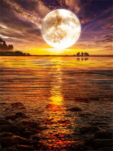 y10%OFFN[|zzz hJLbg 5D i  _ChA[g Lbg r[YhJ t _ChyCeBOCeA  nhCh NXXeb` _CA