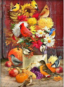 y10%OFFN[|zzz hJLbg 5D _ChA[g Lbg r[YhJ t _ChyCeBOCeA  nhCh NXXeb` _CAhA